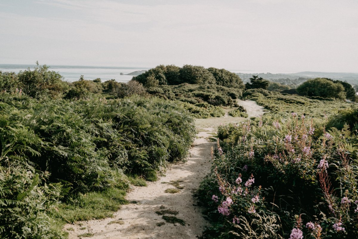 Koryo Hall to Haenamguk