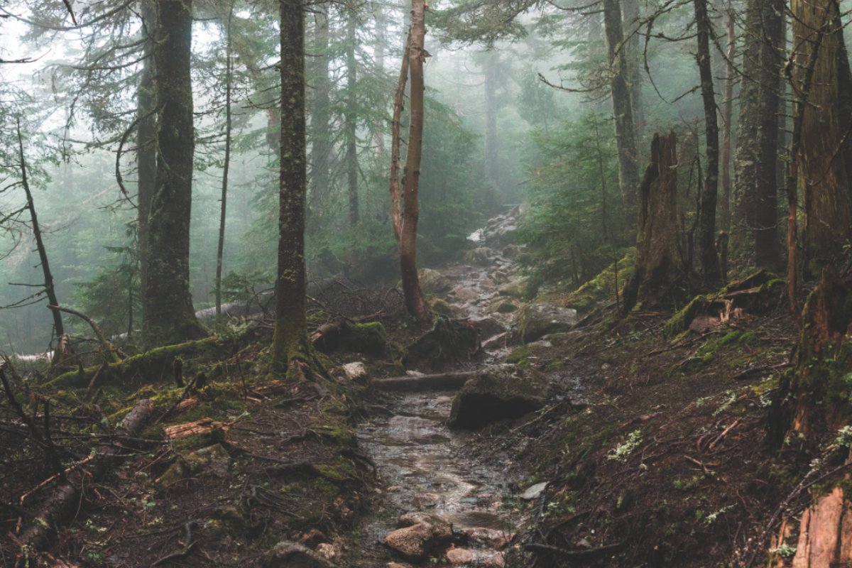 Koryo Hall to Mudangguk