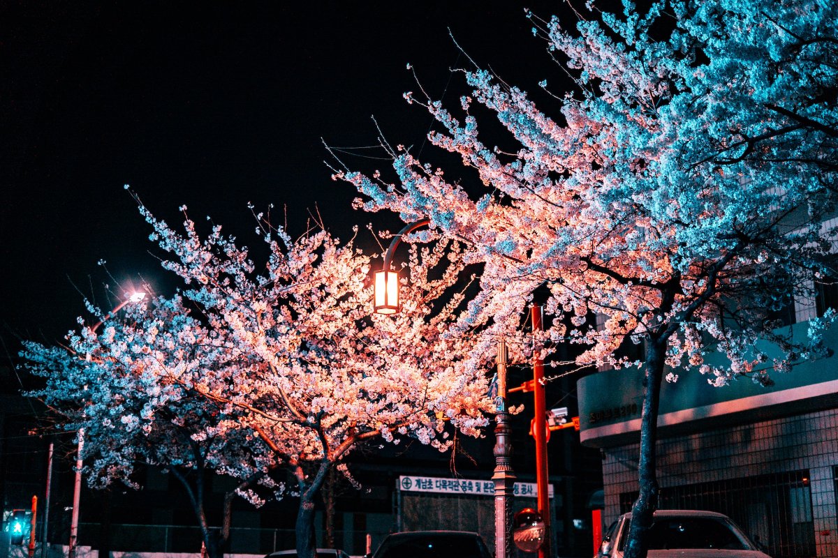 Musical Resources - Modern Korean Music